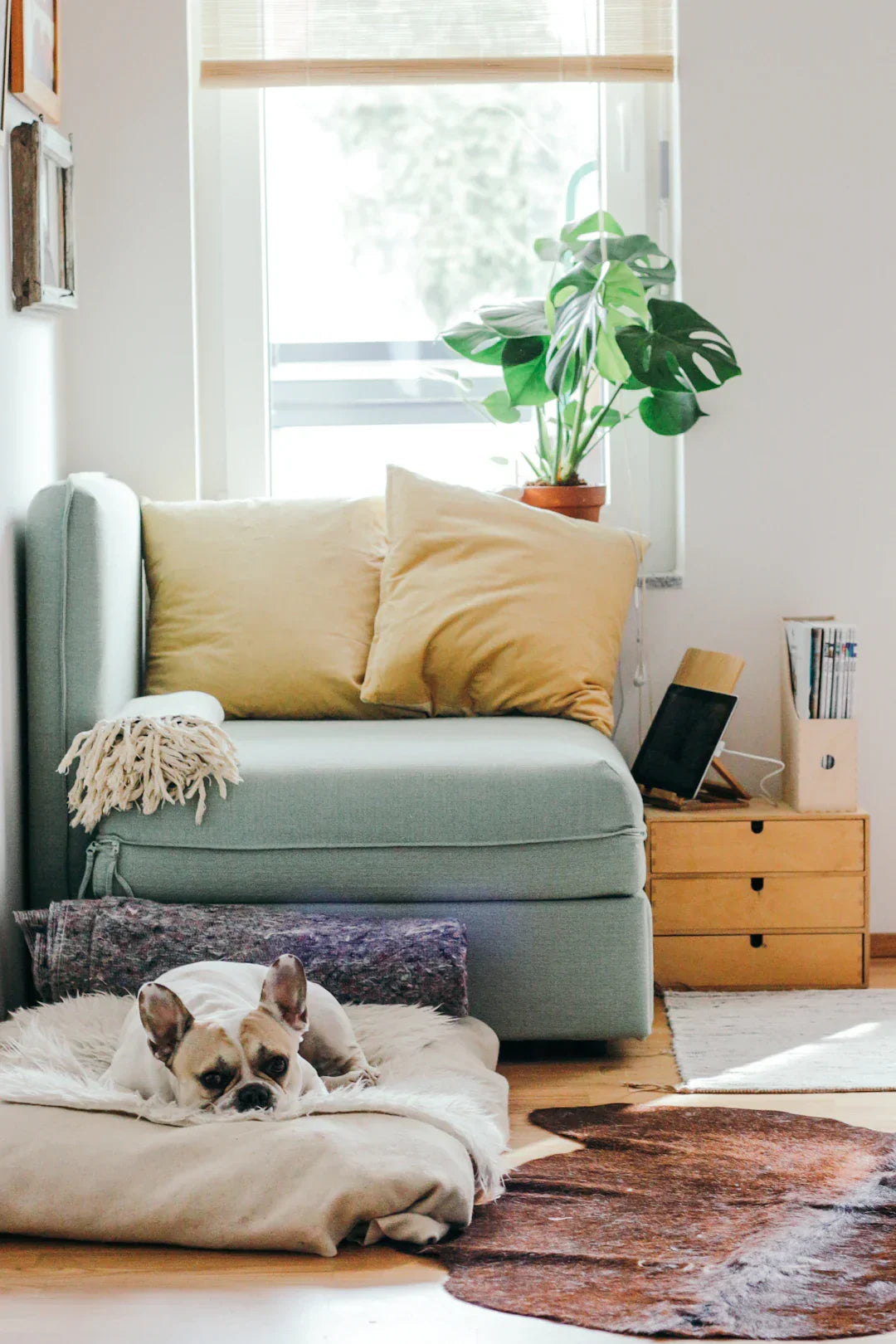 Synergy in Cleaning: How Smart Home Devices Coordinate – Airbot Singapore