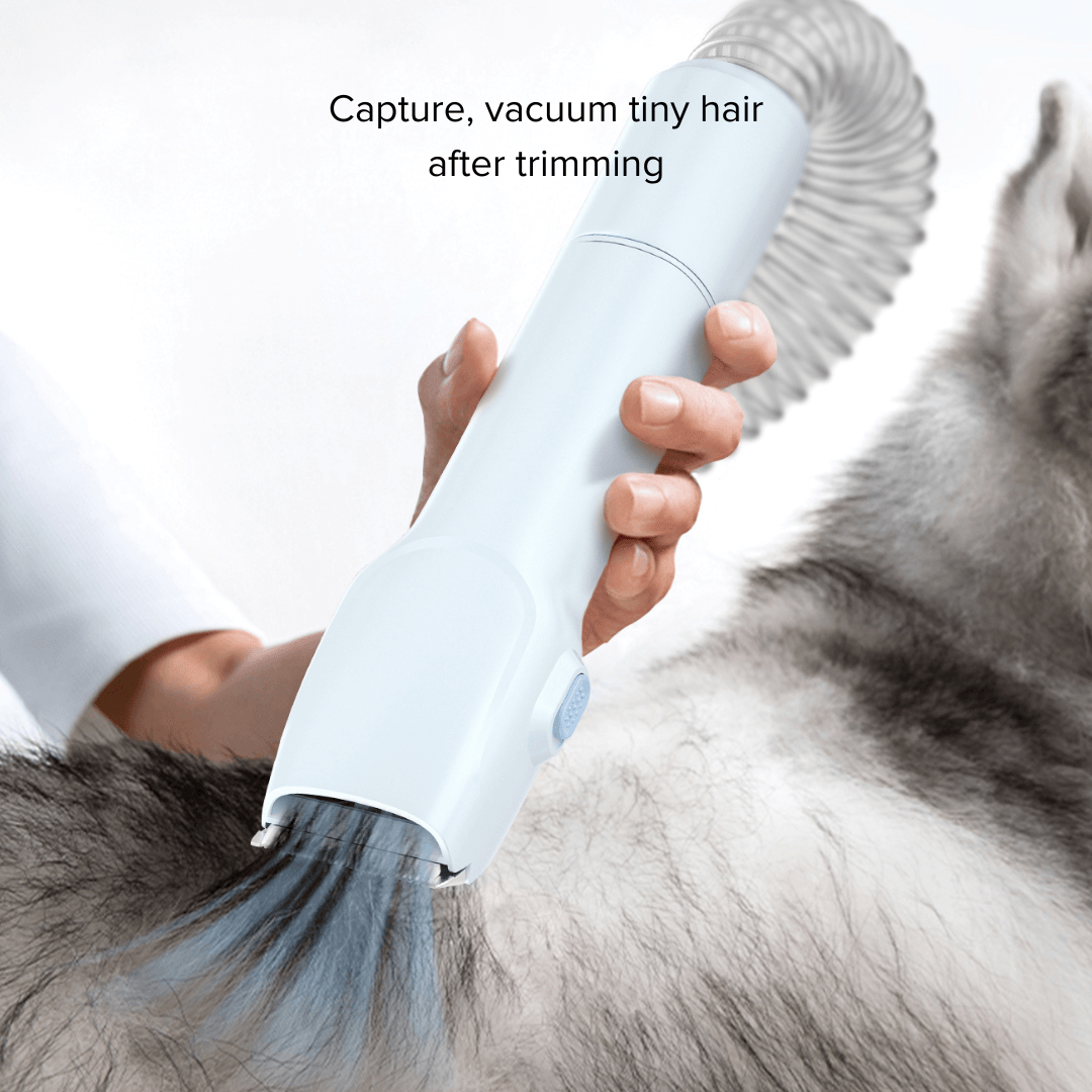 Pet Grooming Vacuum for Fur-Free Home – Airbot Singapore