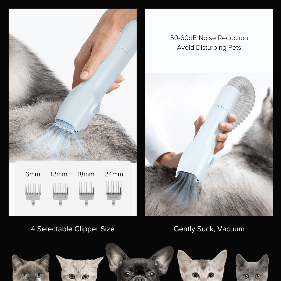 Airbot SingaporeAirbot P2 Pet Grooming VacuumP2 Pet Vacuum