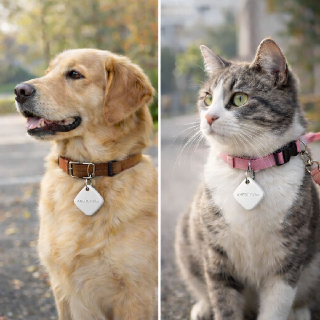 [ Pre-Order ] Airbot Anergy Tracker Tag AT10 Apple Findmy Device