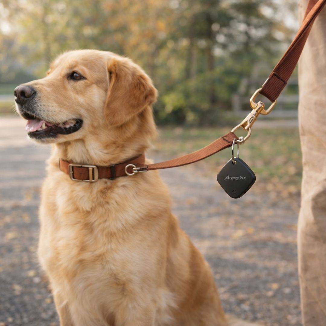 [ Pre-Order ] Airbot Anergy Tracker Tag AT10 Apple Findmy Device