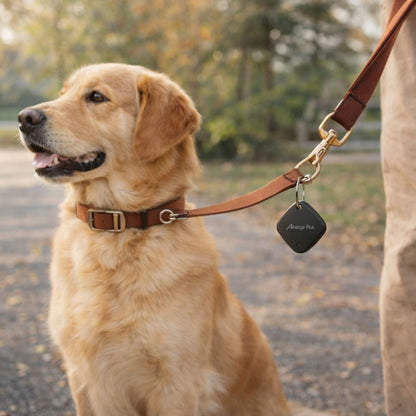 [ Pre-Order ] Airbot Anergy Tracker Tag AT10 Apple Findmy Device