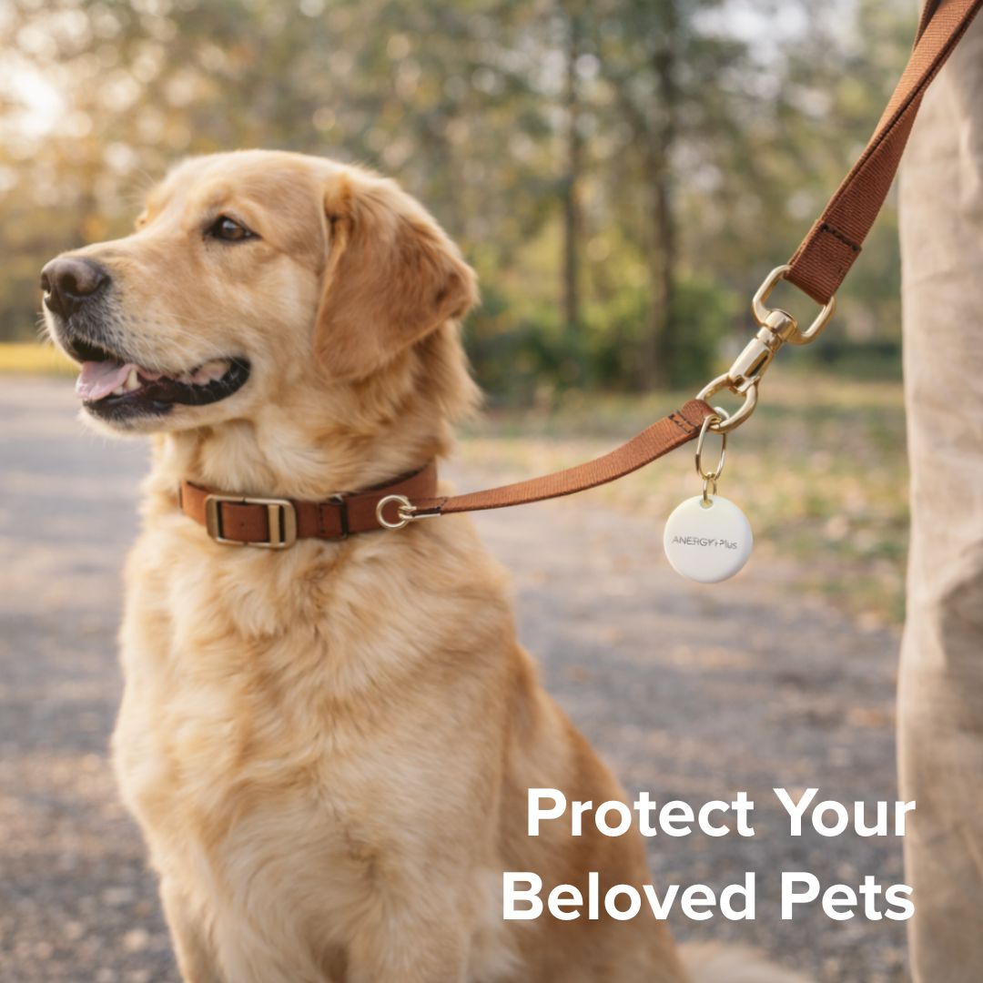 Airbot Anergy Tracker Tag AT20 Apple Findymy Device