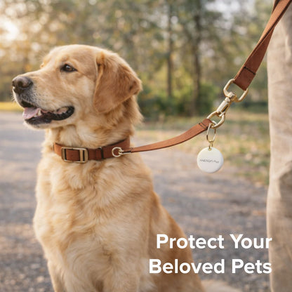 Airbot Anergy Tracker Tag AT20 Apple Findymy Device