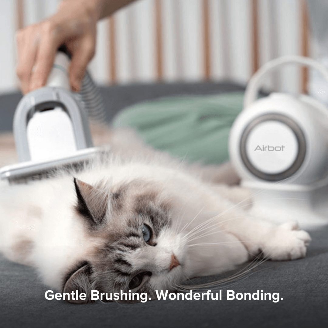 Airbot SingaporeAirbot Pet Vacuum P1Airbot Pets Vacuum P1