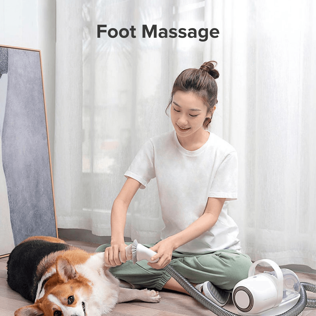 Airbot SingaporeAirbot Pet Vacuum P1Airbot Pets Vacuum P1