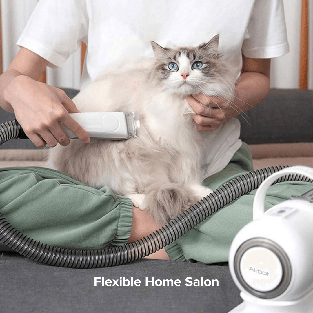 Airbot SingaporeAirbot Pet Vacuum P1Airbot Pets Vacuum P1