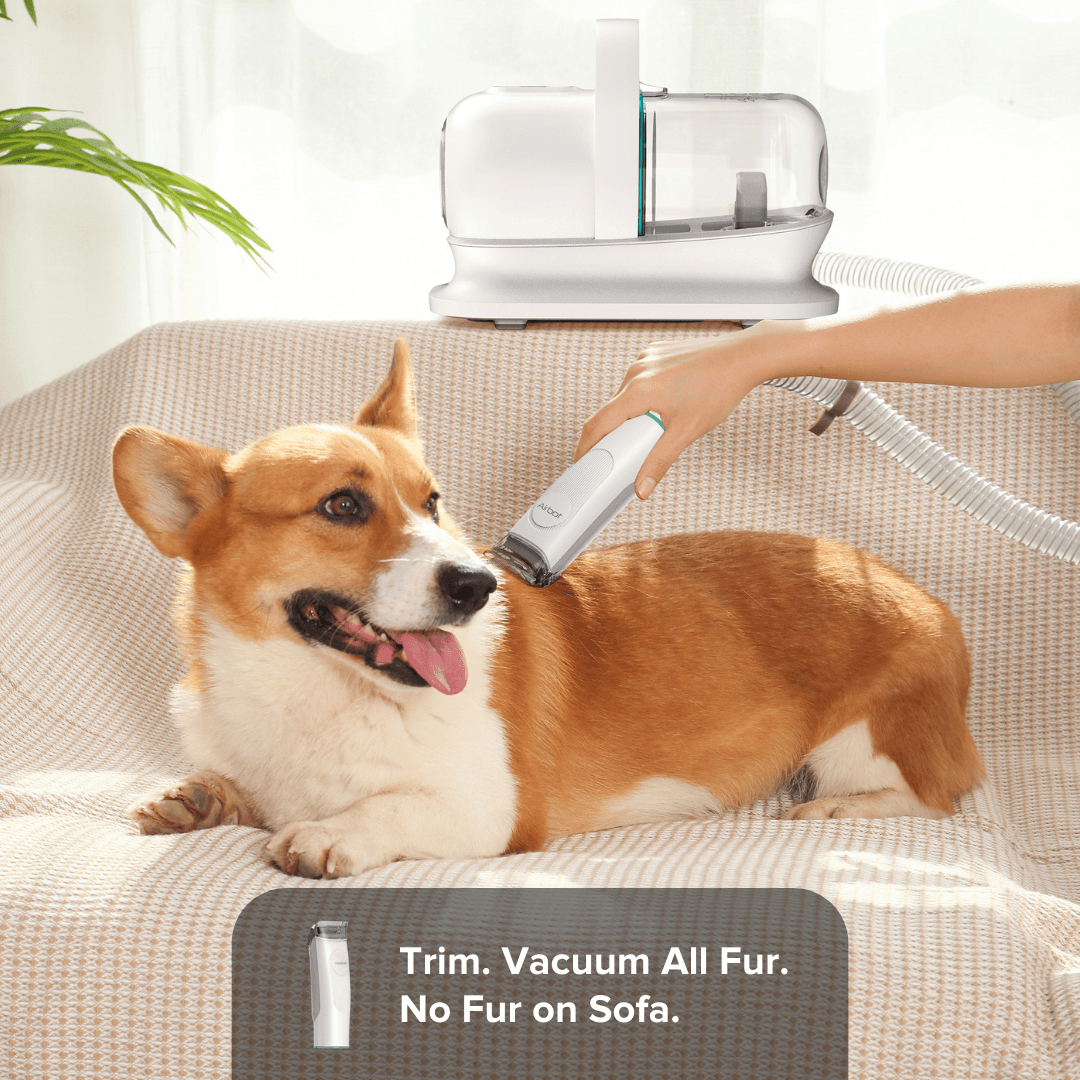 Airbot SingaporeAirbot Pet Vacuum P1Airbot Pets Vacuum P1