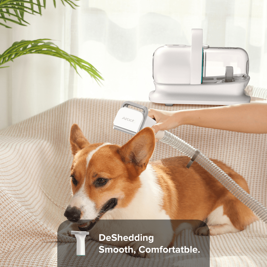Airbot SingaporeAirbot Pet Vacuum P1Airbot Pets Vacuum P1
