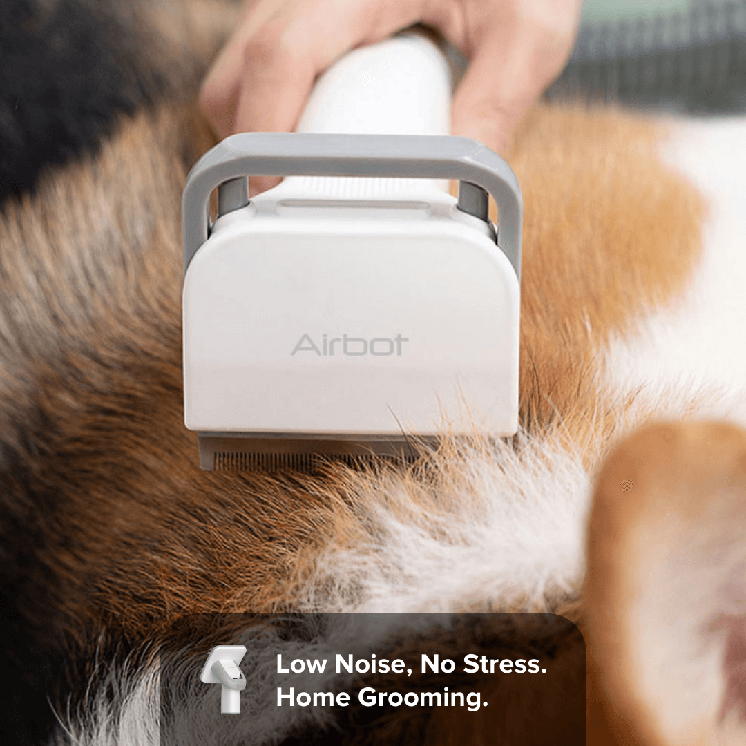 Airbot SingaporeAirbot Pet Vacuum P1Airbot Pets Vacuum P1