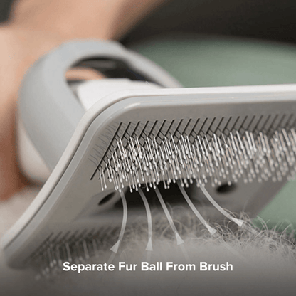 Airbot SingaporeAirbot Pet Vacuum P1Airbot Pets Vacuum P1