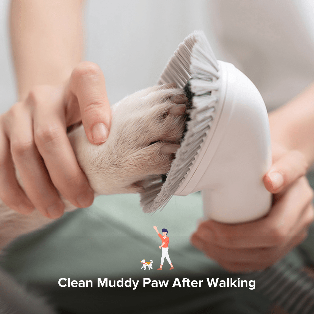 Airbot SingaporeAirbot Pet Vacuum P1Airbot Pets Vacuum P1